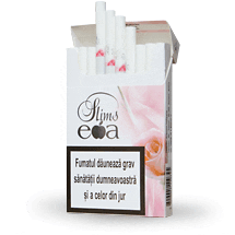 Eva Slims Rose