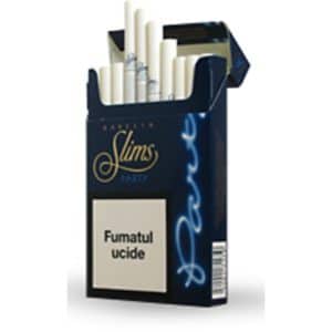 Karelia Slims Party