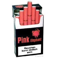 Pink Elephant Rose